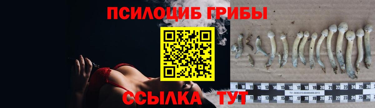 Галлюциногенные грибы Magic Shrooms Кингисепп